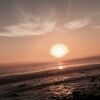 reesescloset_23